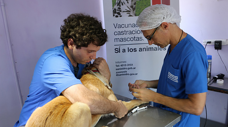 Castración y vacunación gratuita de mascotas durante abril
