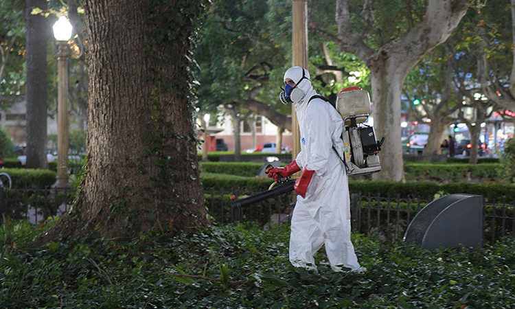 San Fernando avanza para prevenir el dengue en las plazas
