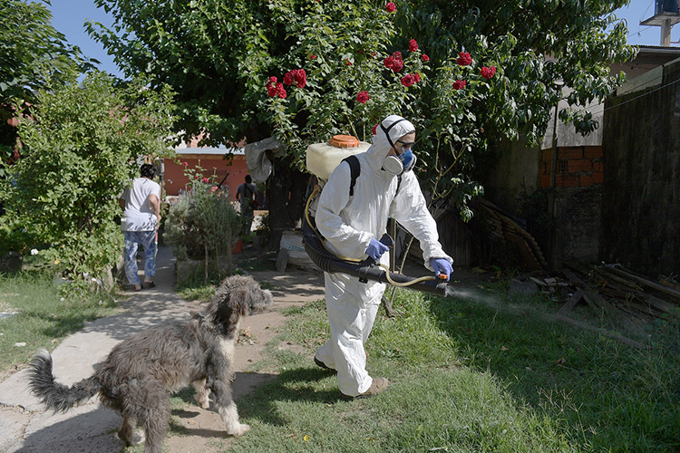 San Fernando sigue realizando operativos de prevención contra el dengue en toda la ciudad