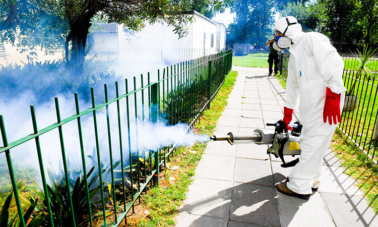 El Municipio de San Fernando continúa sin pausa la prevención del dengue