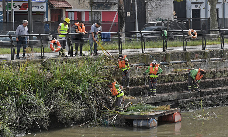 El Municipio realiza tareas de limpieza y desmalezamiento en el Canal de San Fernando