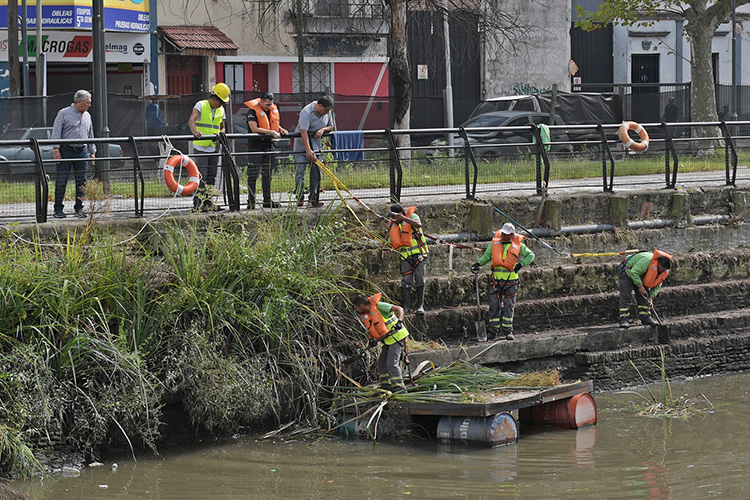 El Municipio realiza tareas de limpieza y desmalezamiento en el Canal de San Fernando