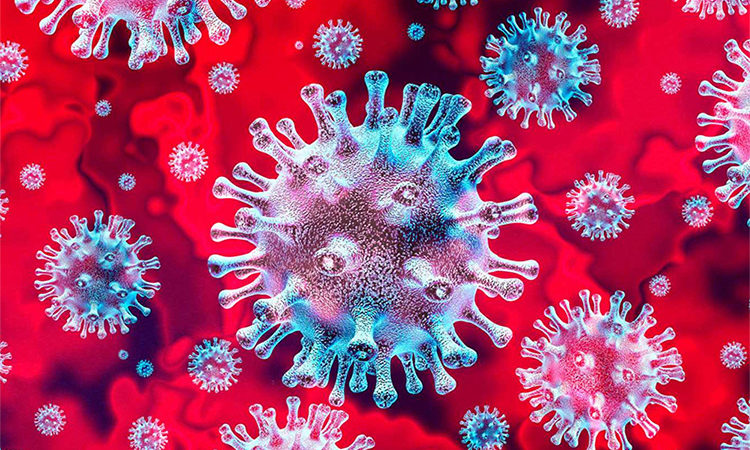 Coronavirus: confirman otros 2 casos importados en sanfernandinos y todos evolucionan favorablemente