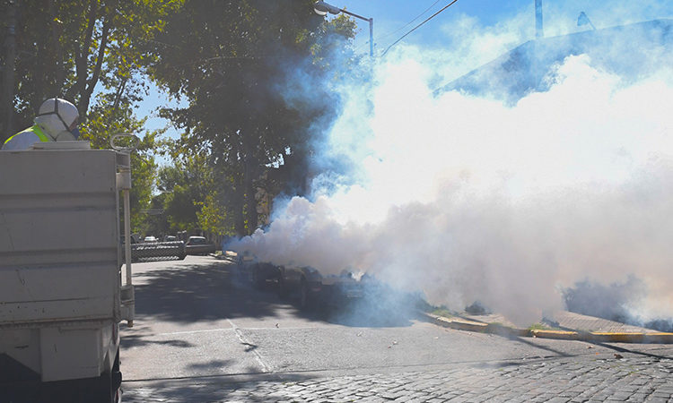 San Fernando sigue realizando operativos de fumigación contra el dengue en todo el distrito
