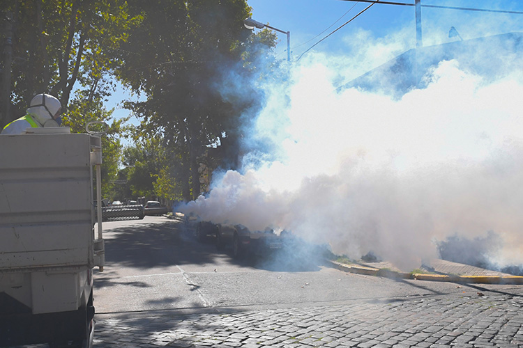 San Fernando sigue realizando operativos de fumigación contra el dengue en todo el distrito