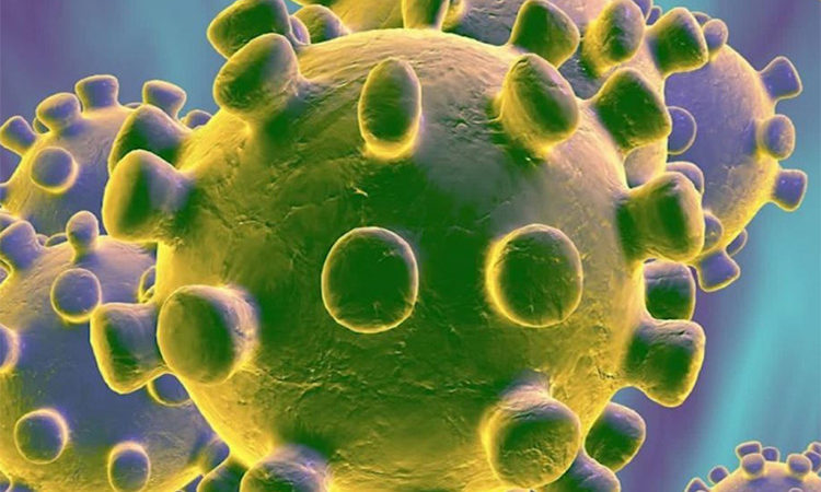 Coronavirus: falleció un sanfernandino de 67 años con antecedentes de hipertensión, tabaquismo y cáncer