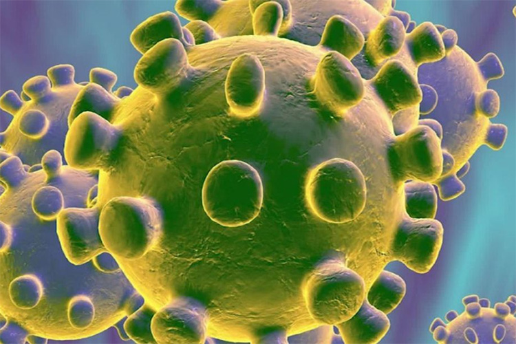 Coronavirus: falleció un sanfernandino de 67 años con antecedentes de hipertensión, tabaquismo y cáncer