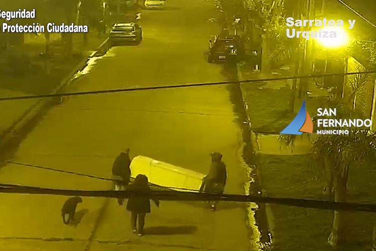 Gracias a las cámaras detuvieron a cuatro personas que robaron una heladera en San Fernando