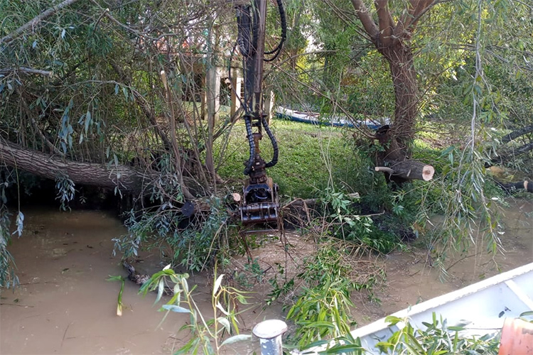 Delta de Tigre: el Municipio profundiza los trabajos de destronque y reparación de muelles, puentes y luminarias