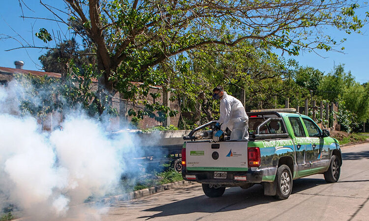 San Fernando previene el dengue y los mosquitos durante el verano