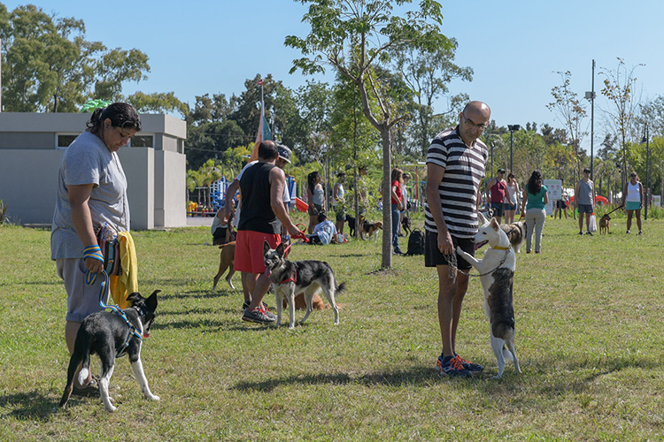 Vuelve a San Fernando el Taller de Adiestramiento Canino y Tenencia Responsable